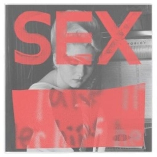 VARIOUS ARTISTS - Sex: We Are Not In The Least Afraid Of Ruins