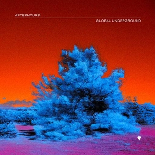 VARIOUS ARTISTS - Global Underground: Afterhours 9 / Various