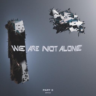 VARIOUS ARTISTS - We Are Not Alone