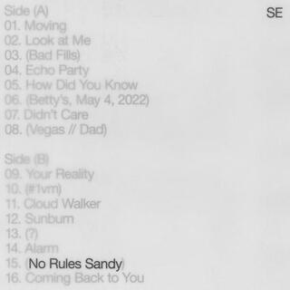 SYLVAN ESSO - No Rules Sandy