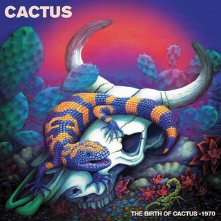 CACTUS - Birth Of Cactus - 1970 - Purple Haze