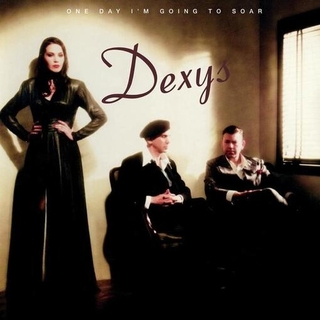 DEXYS - One Day I&#39;m Going To Soar