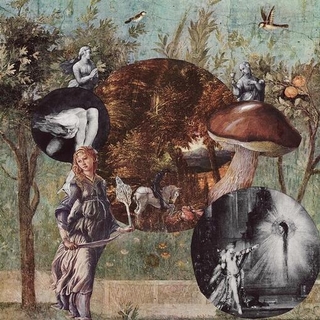 NATIVE HARROW - Old Kind Of Magic [lp]