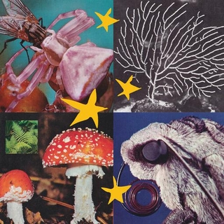 VARIOUS ARTISTS - All Things Considered Vol.2 [lp]