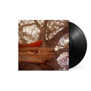 BACKSEAT LOVERS - Waiting To Spill