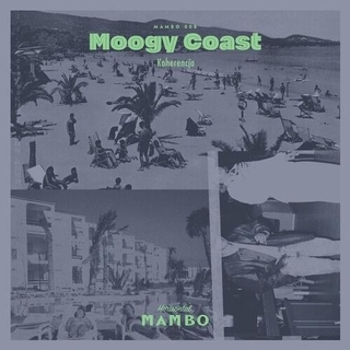 MOOGY COAST - Koherencja
