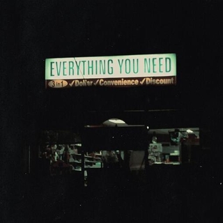 SINGLE MOTHERS - Everything You Need [lp] (Coke Bottle Clear Colored Vinyl)