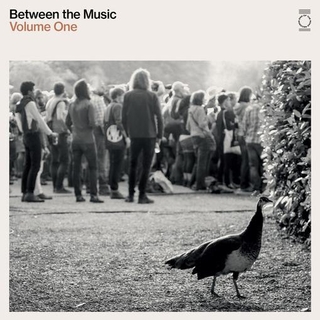 END OF THE ROAD PRESENTS: BETWEEN THE MUSIC / VAR - End Of The Road Presents: Between The Music / Var