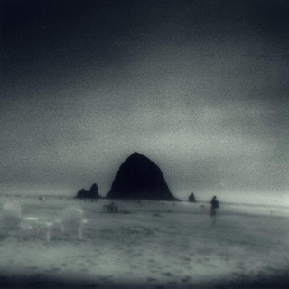 DROWSE - Wane Into It