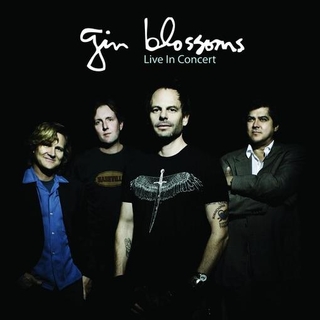 GIN BLOSSOMS - Live In Concert - Purple Marble