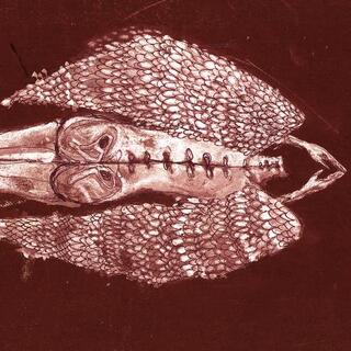 CERBERUS SHOAL - Homb (Anniversary Edition)
