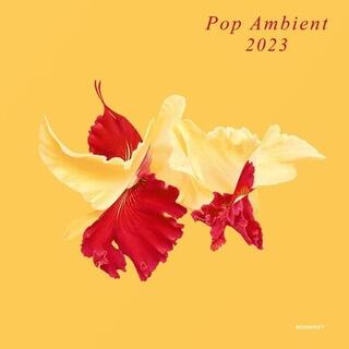 VARIOUS ARTISTS - Pop Ambient 2023 / Various