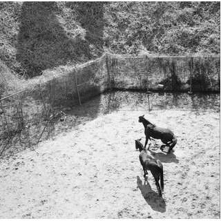 CENTER - Over The Stations