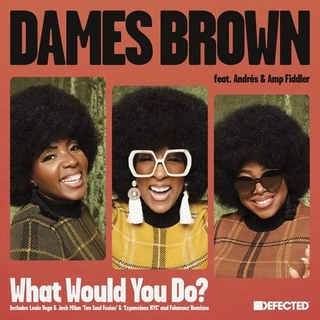 DAMES BROWN FEAT. ANDRES &amp; AMP FIDDLER - What Would You Do? (Remixes) [12in]