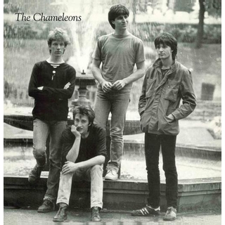 CHAMELEONS - Tony Fletcher Water [12in] (Purple Vinyl, Import)