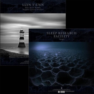 SLEEP RESEARCH FACILITY / LLYN Y CWN - Sargo / Posidonia (Vinyl)