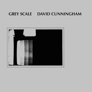 DAVID CUNNINGHAM - Grey Scale (Vinyl)