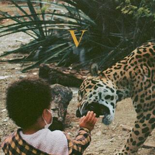 UNKNOWN MORTAL ORCHESTRA - V