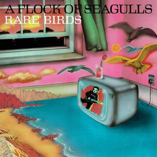 FLOCK OF SEAGULLS - Rare Birds: A Flock Of Seagulls: B-sides, Edits &amp; Alternate Mixes [lp] (First Time On Vinyl, Limited, Indie-exclusive)