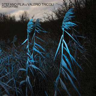 STEFANO PILIA & VALERIO TRICOLI - Cantor Park