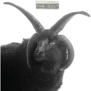 THE CULT - The Cult
