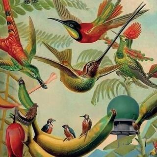 VARIOUS ARTISTS - Radar Keroxen Vol. 4