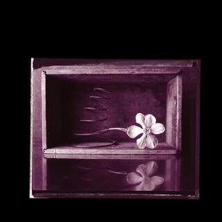 ROB CROW &amp; KRAMER - Hymns [7in]