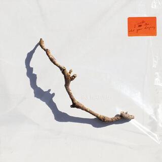 PJ HARVEY - I Inside The Old Year Dying