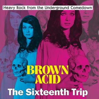 VARIOUS ARTISTS - Brown Acid: The Sixteenth Trip [lp]