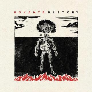BOKANTE - History [lp]