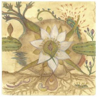 MARKANDEYA - Vision Versions: Joaquin Cornejo Meets Markandeya [lp]