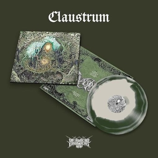 CLAUSTRUM - Claustrum