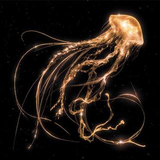 ROYAL BLOOD - Back To The Water Below (Vinyl)