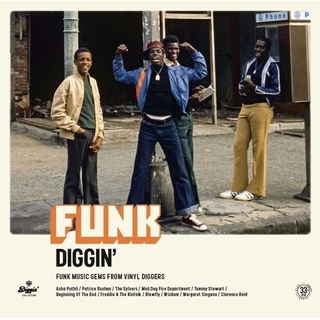 VARIOUS ARTISTS - Funk Diggin / Various
