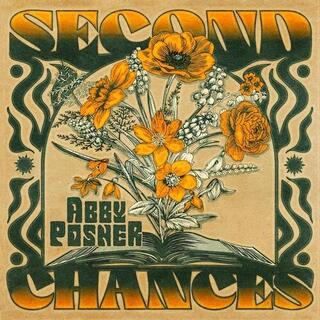 ABBY POSNER - Second Chances