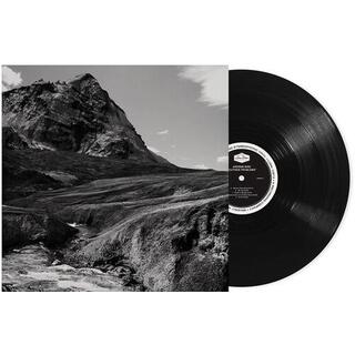 ANDREW BIRD - Outside Problems [lp]