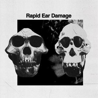 RAPID EAR DAMAGE - R.E.D. [lp]