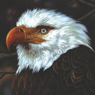MOGWAI - The Hawk Is Howling (White Vinyl)