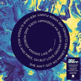 EDISON LIGHTHOUSE - Love Grows (Where My Rosemary Goes)