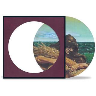 GRATEFUL DEAD - Wake Of The Flood (Picture Disc Vinyl)