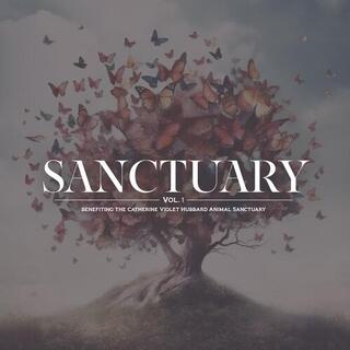 VARIOUS ARTISTS - Sanctuary Vol. 1 / Various