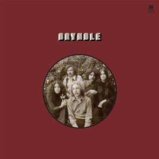 BRYNDLE - Bryndle (Lp) (Black Lp)