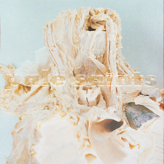 PALE SAINTS - In Ribbons (White)