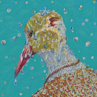 CHARTREUSE - Morning Ritual