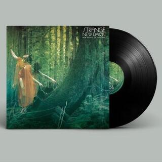 STRANGE NEW DAWN - New Nights Of Euphoria [lp]