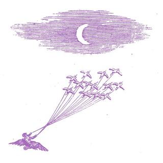 FEELING FIGURES - Migration Magic [lp]