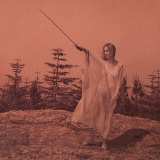 UNKNOWN MORTAL ORCHESTRA - Ii [2lp] (Aluminum Colored Vinyl, 10 Year Anniversary, Reissue)