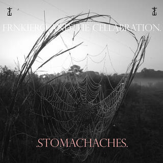 FRNKIERO AND THE CELLABRATION - Stomachaches [lp]