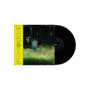 FRANK CARTER &amp; THE RATTLESNAKES - Dark Rainbow