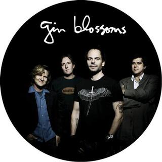 GIN BLOSSOMS - Live In Concert